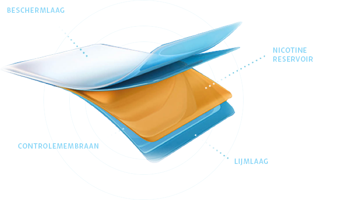 Product banner